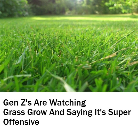 Saw a "news story meme" thing on Facebook and decided to make something similar | Gen Z's Are Watching Grass Grow And Saying It's Super 
Offensive | image tagged in news,gen z,funny | made w/ Imgflip meme maker