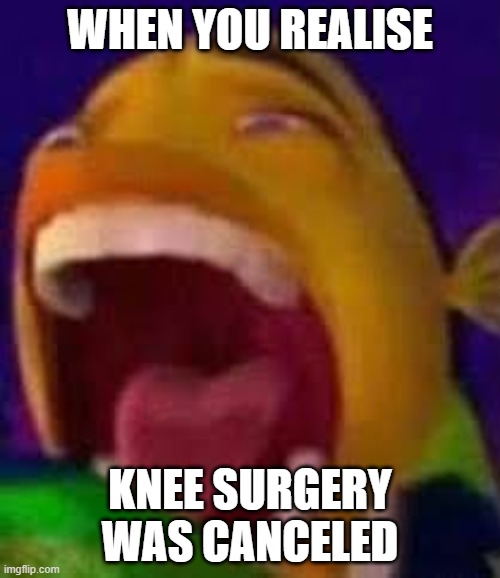 WHEN YOU REALISE; KNEE SURGERY WAS CANCELED | image tagged in certified bruh moment | made w/ Imgflip meme maker