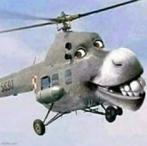 Donkeycopter.mp3 | made w/ Imgflip meme maker