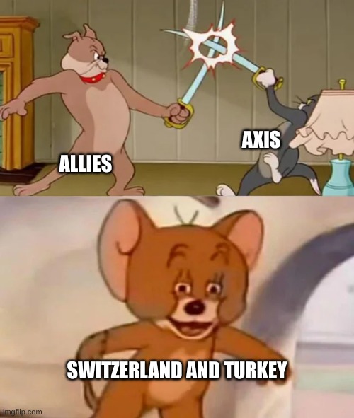 Tom and Spike fighting | AXIS; ALLIES; SWITZERLAND AND TURKEY | image tagged in tom and spike fighting | made w/ Imgflip meme maker