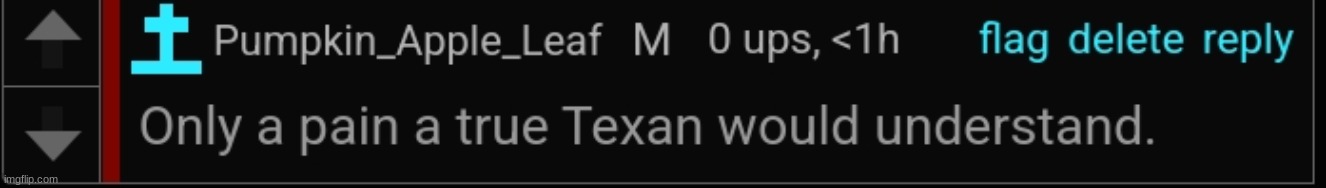 getting hay in your boots: | image tagged in true texan pain | made w/ Imgflip meme maker