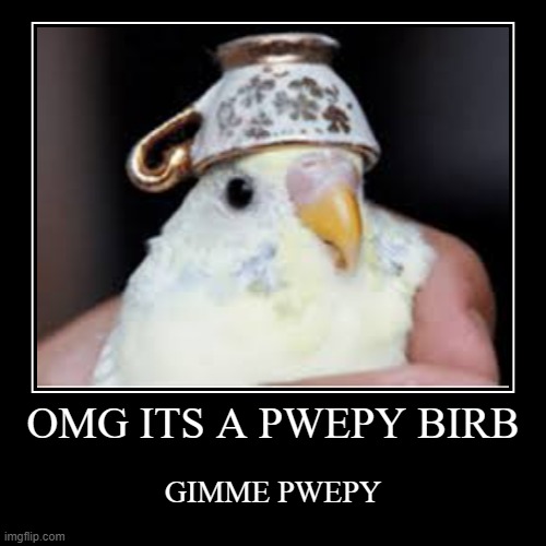 OMG ITS A PWEPY BIRB | GIMME PWEPY | image tagged in funny,demotivationals | made w/ Imgflip demotivational maker