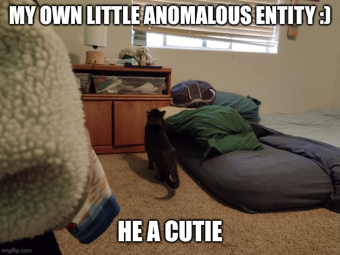 MY OWN LITTLE ANOMALOUS ENTITY :); HE A CUTIE | made w/ Imgflip meme maker