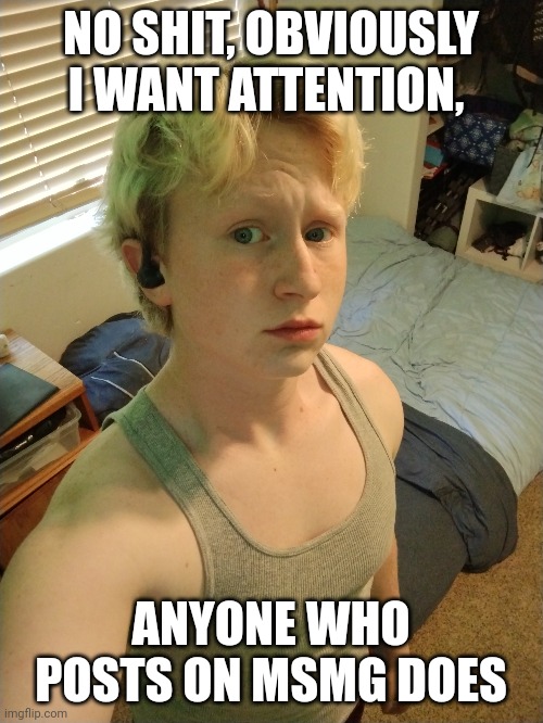 NO SHIT, OBVIOUSLY I WANT ATTENTION, ANYONE WHO POSTS ON MSMG DOES | made w/ Imgflip meme maker