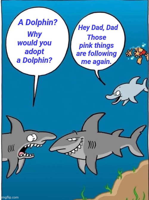 Luring in the yummy Chum | Why would you adopt a Dolphin? A Dolphin? Hey Dad, Dad; Those pink things are following me again. | image tagged in memes,sharks,animals,dolphin,under the sea | made w/ Imgflip meme maker