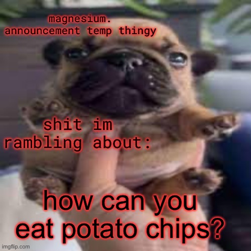 pug temp | how can you eat potato chips? | image tagged in pug temp | made w/ Imgflip meme maker