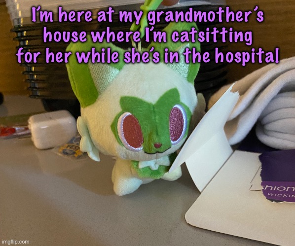 Scrimblo | I’m here at my grandmother’s house where I’m catsitting for her while she’s in the hospital | image tagged in scrimblo,cinnabox announcement | made w/ Imgflip meme maker