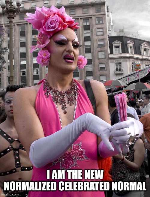 tranny | I AM THE NEW NORMALIZED CELEBRATED NORMAL | image tagged in tranny | made w/ Imgflip meme maker