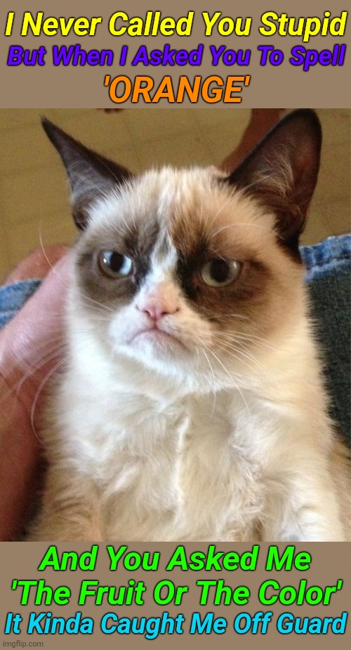 Unimpressed 'Tadar sauce' | I Never Called You Stupid; But When I Asked You To Spell; 'ORANGE'; And You Asked Me 'The Fruit Or The Color'; It Kinda Caught Me Off Guard | image tagged in memes,grumpy cat,unimpressed,bad grammar and spelling memes,grammar nazi | made w/ Imgflip meme maker