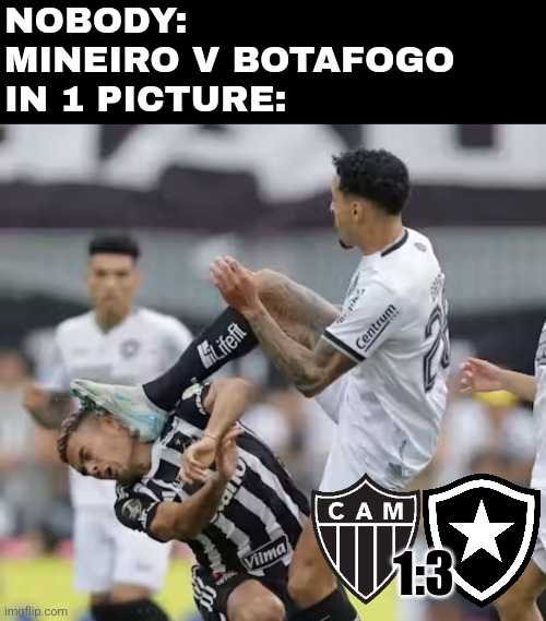 Atletico Mineiro 1-3 Botafogo Rio de Janeiro FR | NOBODY:
MINEIRO V BOTAFOGO IN 1 PICTURE:; 1:3 | image tagged in atletico mineiro,botafogo,brazil,libertadores,futbol,soccer | made w/ Imgflip meme maker