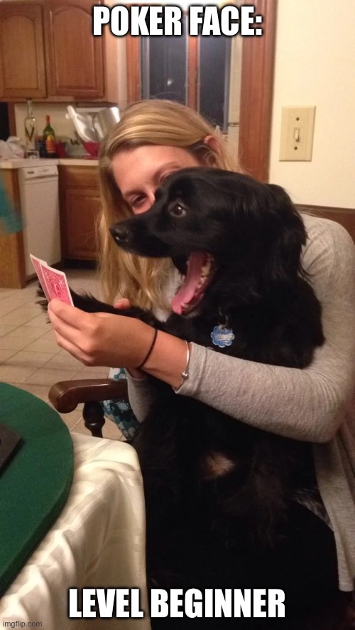 Poker face? | POKER FACE:; LEVEL BEGINNER | image tagged in poker face,poker,dog,smiling | made w/ Imgflip meme maker