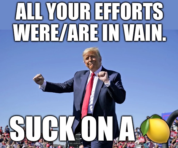 Trump dance | ALL YOUR EFFORTS WERE/ARE IN VAIN. SUCK ON A ? | image tagged in trump dance | made w/ Imgflip meme maker