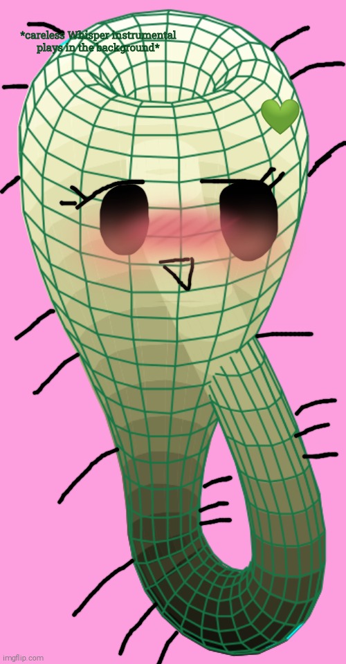 For Funguss | *careless Whisper instrumental plays in the background*; 💚 | image tagged in klein bottle,dakimakura,body pillow | made w/ Imgflip meme maker