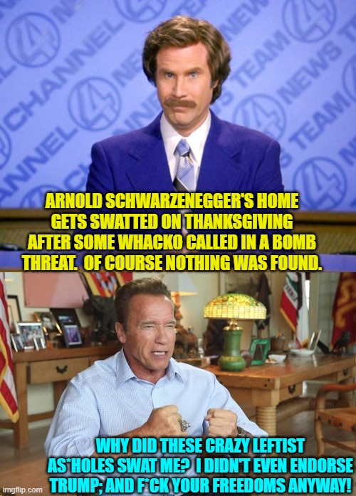 We live in a complex world.  Don't we? | ARNOLD SCHWARZENEGGER'S HOME GETS SWATTED ON THANKSGIVING AFTER SOME WHACKO CALLED IN A BOMB THREAT.  OF COURSE NOTHING WAS FOUND. WHY DID THESE CRAZY LEFTIST AS*HOLES SWAT ME?  I DIDN'T EVEN ENDORSE TRUMP; AND F*CK YOUR FREEDOMS ANYWAY! | image tagged in this just in | made w/ Imgflip meme maker