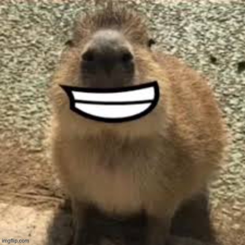 goofy ass capybara | image tagged in goofy ass capybara | made w/ Imgflip meme maker