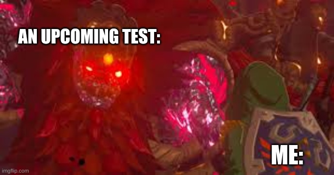 Link's Test | AN UPCOMING TEST:; ME: | image tagged in link is ded good luck | made w/ Imgflip meme maker