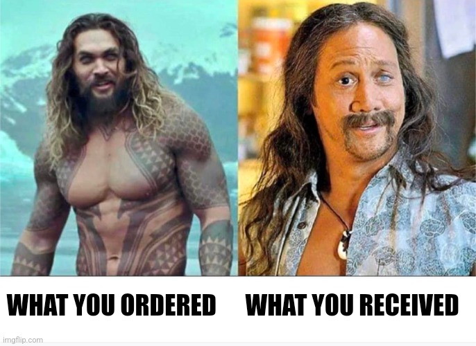 What you ordered vs what you received | WHAT YOU ORDERED      WHAT YOU RECEIVED | image tagged in jason momoa,rob schneider,gigolo | made w/ Imgflip meme maker