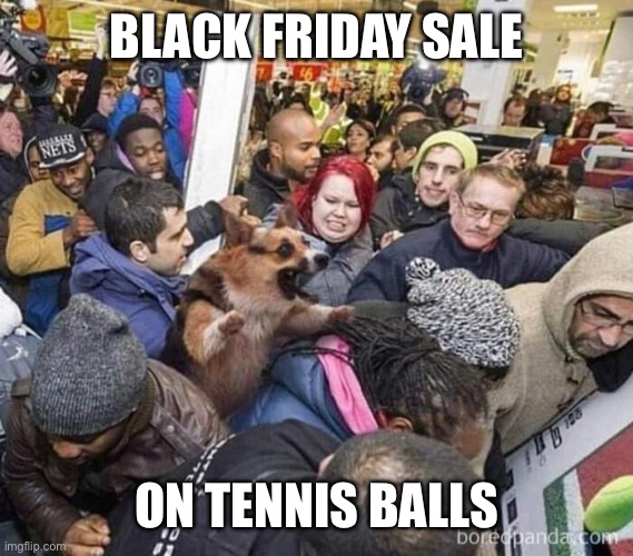 Just another day at Walmart | BLACK FRIDAY SALE; ON TENNIS BALLS | image tagged in balls,tennis,dog,sales,black friday | made w/ Imgflip meme maker