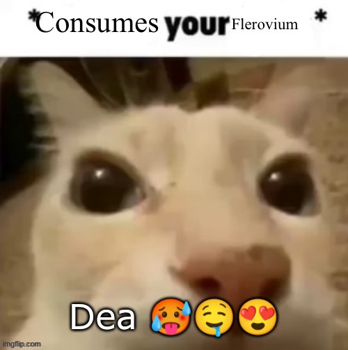 Yakko consumes your flerovium | Dea 🥵🤤😍 | image tagged in yakko consumes your flerovium | made w/ Imgflip meme maker