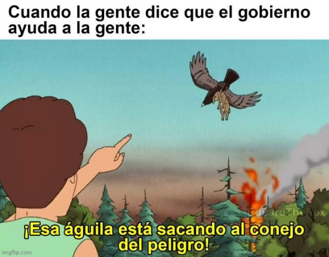 9c6slu.jpg