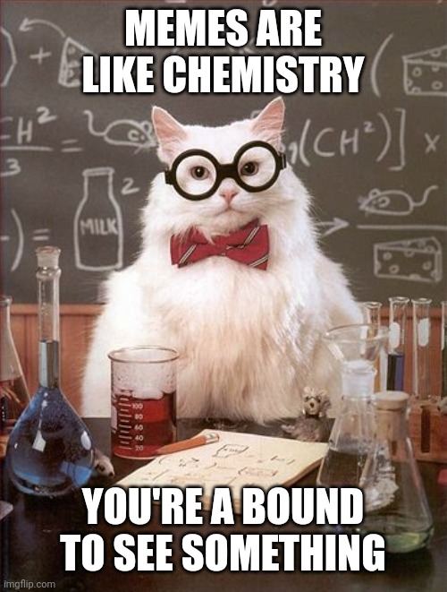 Professor Cat | MEMES ARE LIKE CHEMISTRY; YOU'RE A BOUND TO SEE SOMETHING | image tagged in professor cat,chemistry,funny,funny memes,memes | made w/ Imgflip meme maker