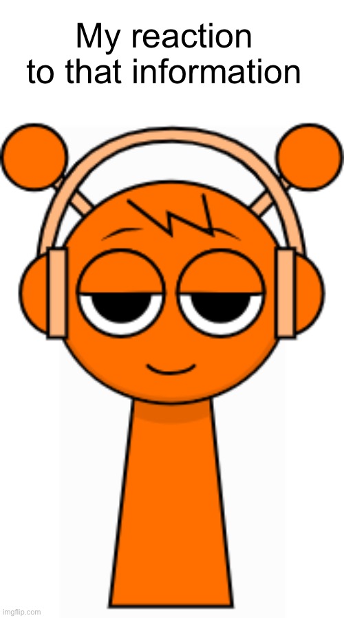 Oren(Orange) | My reaction to that information | image tagged in oren orange | made w/ Imgflip meme maker
