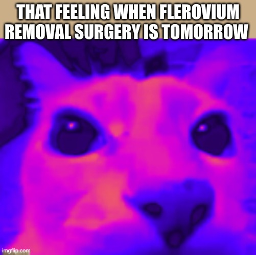 THAT FEELING WHEN FLEROVIUM REMOVAL SURGERY IS TOMORROW | made w/ Imgflip meme maker