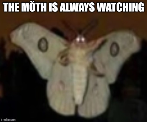 The Möth | THE MÖTH IS ALWAYS WATCHING | image tagged in moth,is,always,watching | made w/ Imgflip meme maker