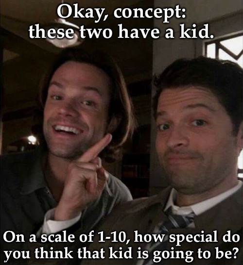 Bonus, The Kid Would Be Super Adorable | Okay, concept: these two have a kid. On a scale of 1-10, how special do
you think that kid is going to be? | image tagged in sastiel ramblings,interesting concept though,im thinking about it,these two need help,i ship it | made w/ Imgflip meme maker