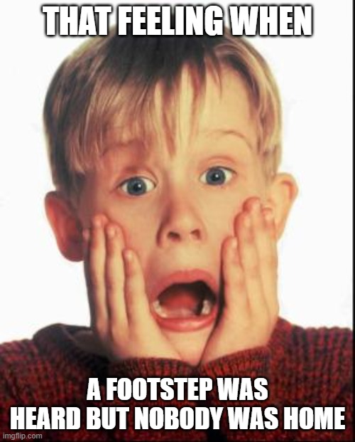 I swear footsteps always scare me when I'm home alone | THAT FEELING WHEN; A FOOTSTEP WAS HEARD BUT NOBODY WAS HOME | image tagged in home alone kid | made w/ Imgflip meme maker