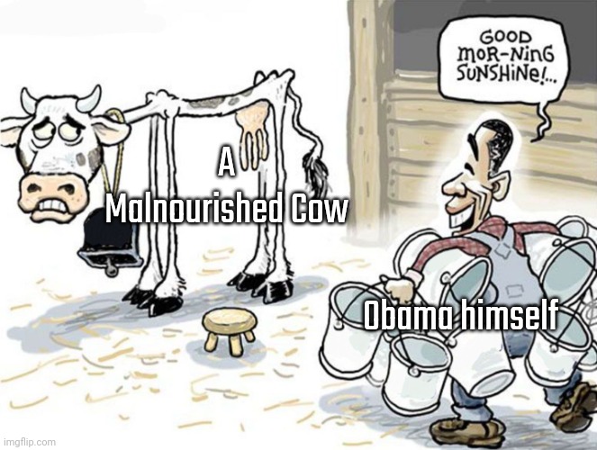 Anti-meme | A Malnourished Cow; Obama himself | image tagged in milking the cow | made w/ Imgflip meme maker