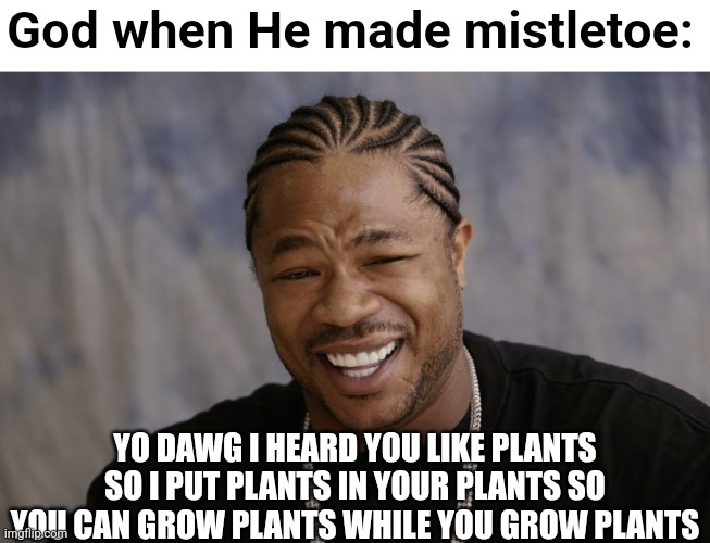 yo dawg i heard you like | God when He made mistletoe:; YO DAWG I HEARD YOU LIKE PLANTS SO I PUT PLANTS IN YOUR PLANTS SO YOU CAN GROW PLANTS WHILE YOU GROW PLANTS | image tagged in yo dawg i heard you like | made w/ Imgflip meme maker