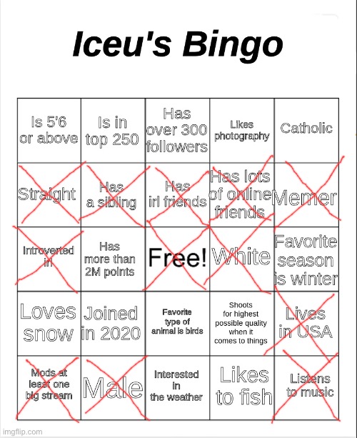 Iceu's Bingo | image tagged in iceu's bingo | made w/ Imgflip meme maker