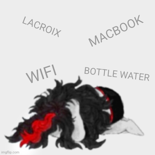 Phblbhpblplpbp | LACROIX; MACBOOK; WIFI; BOTTLE WATER | image tagged in phblbhpblplpbp | made w/ Imgflip meme maker