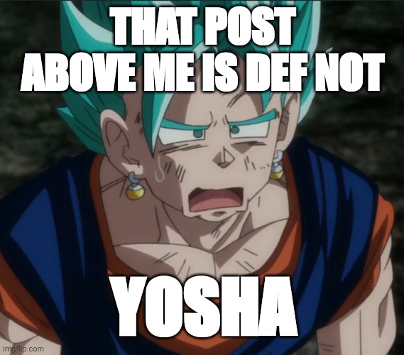 Confused Vegito | THAT POST ABOVE ME IS DEF NOT; YOSHA | image tagged in confused vegito | made w/ Imgflip meme maker