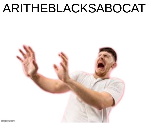 he left all caps on(custom) | ARITHEBLACKSABOCAT | image tagged in he left all caps on custom | made w/ Imgflip meme maker