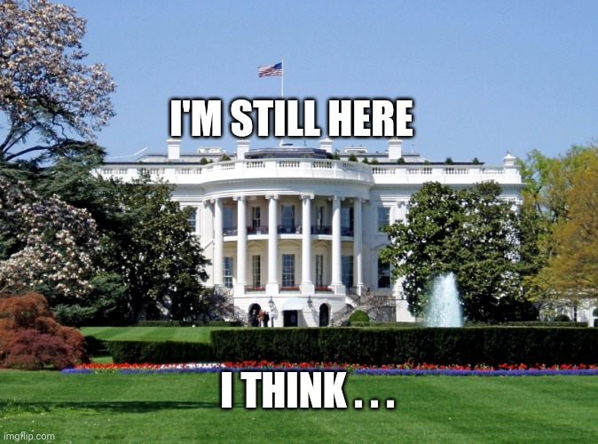 I'M STILL HERE I THINK . . . | image tagged in white house | made w/ Imgflip meme maker