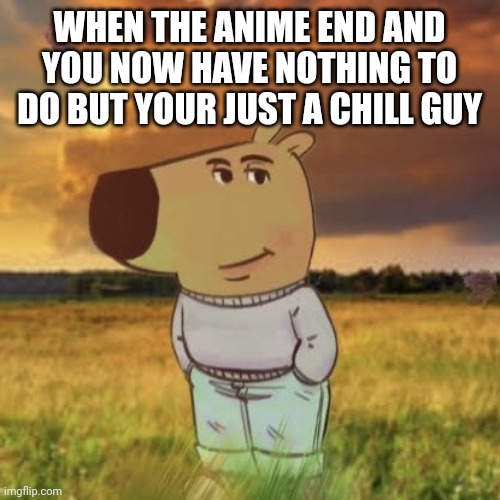 Chill guy | WHEN THE ANIME END AND YOU NOW HAVE NOTHING TO DO BUT YOUR JUST A CHILL GUY | image tagged in chill guy | made w/ Imgflip meme maker