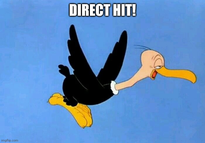 Direct hit! | DIRECT HIT! | image tagged in buzzard | made w/ Imgflip meme maker