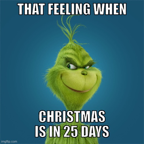 Navidad-Grinch | THAT FEELING WHEN; CHRISTMAS IS IN 25 DAYS | image tagged in navidad-grinch | made w/ Imgflip meme maker