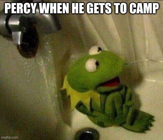 PERCY WHEN HE GETS TO CAMP | image tagged in kermit crying terrified in shower | made w/ Imgflip meme maker