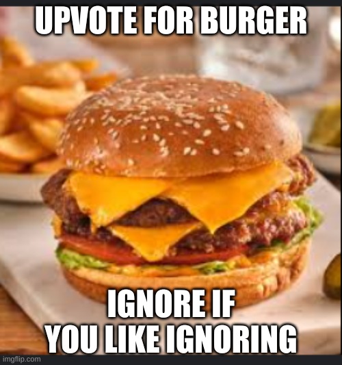 UPVOTE FOR BURGER; IGNORE IF YOU LIKE IGNORING | image tagged in burger | made w/ Imgflip meme maker