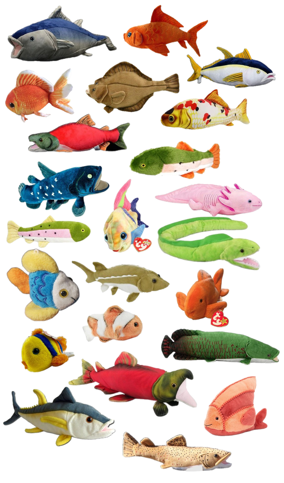 *le gasp*BEANIE BABY FISH!!! Blank Meme Template