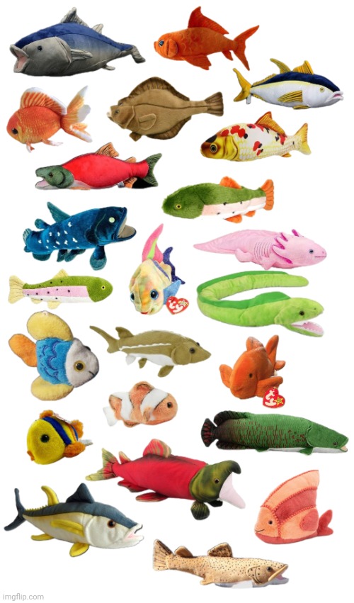 *le gasp* BEANIE BABY FISH!!! | image tagged in fish,fishing for upvotes,toys,kids toys,fun,plush | made w/ Imgflip meme maker