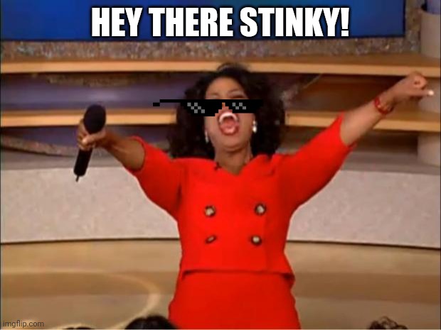 Oprah You Get A | HEY THERE STINKY! | image tagged in memes,oprah you get a | made w/ Imgflip meme maker