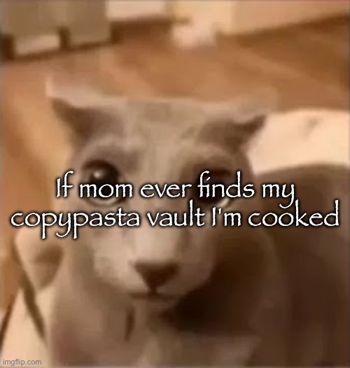ahh cat | If mom ever finds my copypasta vault I'm cooked | image tagged in ahh cat | made w/ Imgflip meme maker