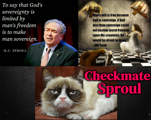 Checkmate | Sproul; Checkmate | image tagged in calvinism,arminian,molinism,checkmate,doesn't actually understand sovereignty,reformed theology ghoul preachers | made w/ Imgflip meme maker
