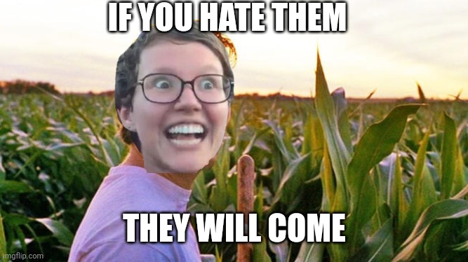 field of dreams | IF YOU HATE THEM THEY WILL COME | image tagged in field of dreams | made w/ Imgflip meme maker