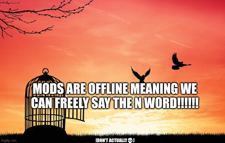 Freedom | MODS ARE OFFLINE MEANING WE CAN FREELY SAY THE N WORD!!!!!! [DON'T ACTUALLY💀] | image tagged in freedom | made w/ Imgflip meme maker