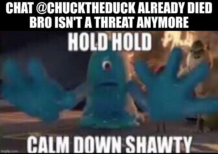 Calm down shawty | CHAT @CHUCKTHEDUCK ALREADY DIED
BRO ISN'T A THREAT ANYMORE | image tagged in calm down shawty | made w/ Imgflip meme maker